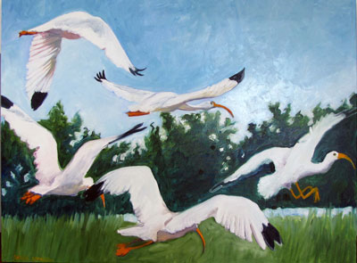 Artwork title 'Ibises in Flight' - Contact The Water's Edge Studio and Gallery for price and availability - gayle at galvestonwatersedge dot com