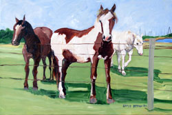 Artwork title 'The Painted Pony' - Contact The Water's Edge Studio and Gallery for price and availability - gayle at galvestonwatersedge dot com